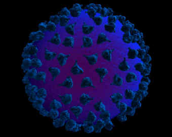 AIDS Virus Picture 3D