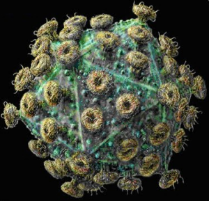 HIV virus that causes AIDs