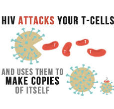how the Human Immunodeficiency Virus (HIV) works