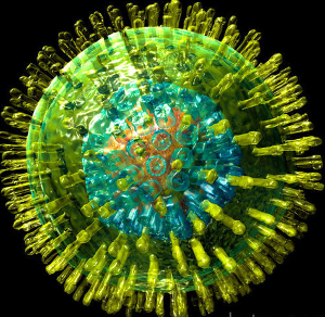 Cell of the Herpes Virus