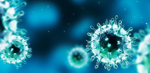 Herpes Virus Cell 3D Herpes Virus Cell 3D