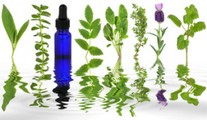 Herpes Information 1 - Herpes & Coldsores Support Network Essential Oils For Herpes