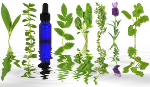 Essential Oils For Herpes